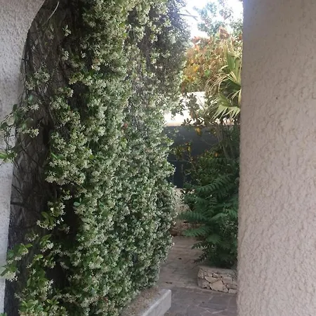 Frida * Campomarino (Taranto)