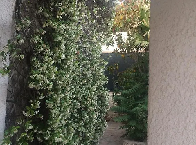 Frida * Campomarino (Taranto)